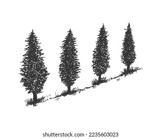 Hand drawn silhouette pine tree line illustration. Rough pencil sketch vintage drawing pine tree vector landscape drawing illustration.