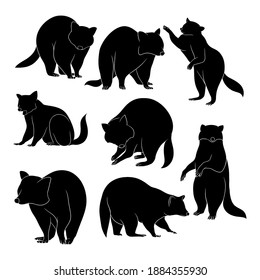 Hand drawn silhouette of racoon