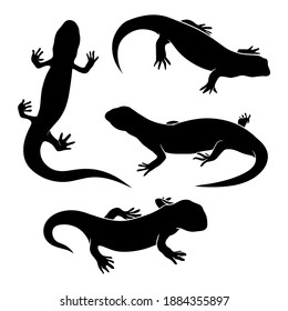 handgezeichnete Silhouette Salamander