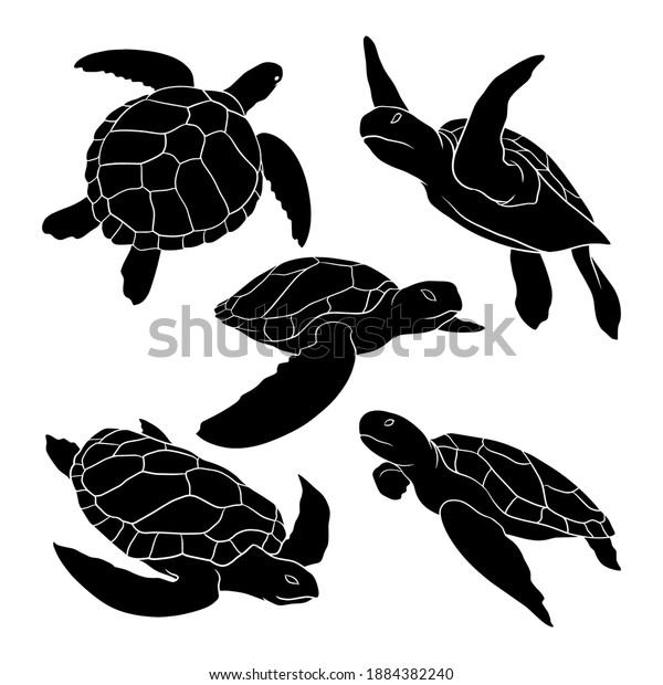 Hand Drawn Silhouette Sea Turtle Stock Vector (Royalty Free) 1884382240 ...