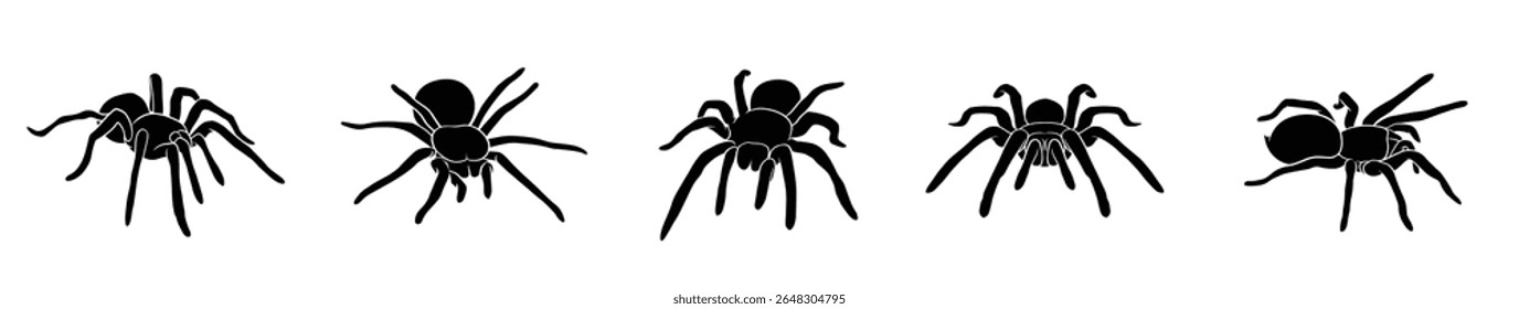 hand drawn silhouette of tarantula