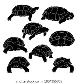 8,947 Tortoise silhouette Images, Stock Photos & Vectors | Shutterstock