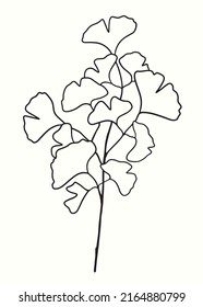 Hand drawn Silhouette of twig of ginkgo biloba tree isolated on white, Hand drawn ginkgo biloba leaf, Hand drawn line silhouette ginkgo biloba tree, hand drawn japanese vector flower line silhouette