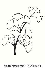 Hand drawn Silhouette of twig of ginkgo biloba tree isolated on white, Hand drawn ginkgo biloba leaf, Hand drawn line silhouette ginkgo biloba tree, hand drawn japanese vector flower line silhouette
