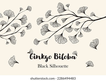 Hand drawn Silhouette of twig of ginkgo biloba tree isolated on white, Hand drawn ginkgo biloba set, Hand drawn line silhouette ginkgo biloba tree, hand drawn japanese vector flower line silhouette