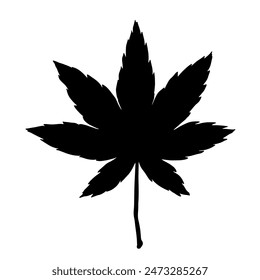 Hand drawn silhouette vector illustration of maple leaves