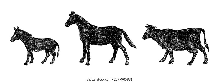 Hand drawn silhouettes of different hoofed farm animals, horse, donkey, cow, profile, vector illustration