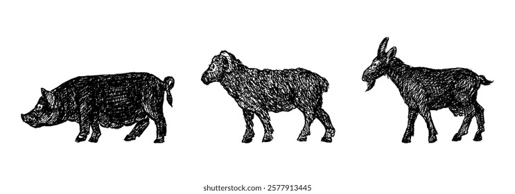 Hand drawn silhouettes of different hoofed farm animals, pig, sheep, goat, profile, vector illustration