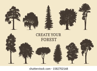 Hand drawn silhouettes of different trees. Create your own forest. Vector sketches of coniferous or deciduous woods.