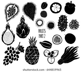 Hand drawn silhouettes of exotic tropical fruits isolated on white background. Vector illustrations for menu, label design in modern style.