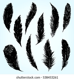Hand drawn silhouettes of feathers collection on white background. Vector monochrome illustration