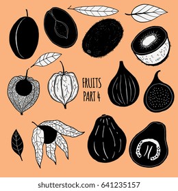 Hand drawn silhouettes of fruits isolated on background. Elements for menu, packaging design in trendy modern naive style, detailed vector illustrations, stock clipart. Whole and cut. 