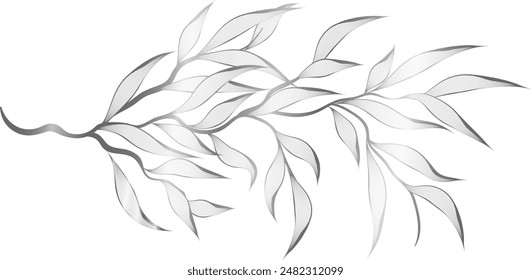 Hand drawn Silver leaf branch