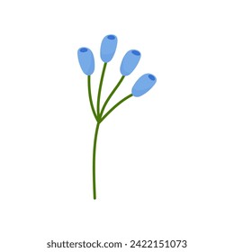Hand drawn simple blue branch flower, spring summer plant on white isolated background