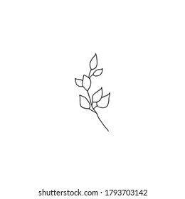 Hand drawn simple floral icon. A branch with leaves. Vector illustration. For logo designs, for branding and business identity.