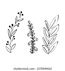 Hand drawn simple floral set vector illustration. Simple elements for design.
