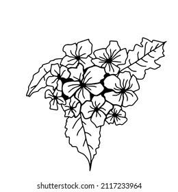 Handgezeichnete, einfache, florale Vektorgrafik in schwarzer Umrisslinie. Schöner Herbststrauß. Für festliches saisonales Design, Postkarten, Einladungen.