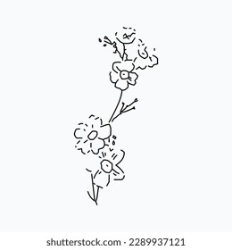 hand drawn simple flower outline illustration
