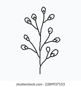 hand drawn simple flower outline illustration