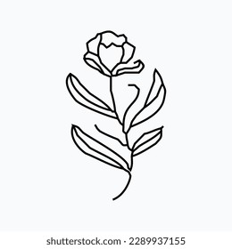 hand drawn simple flower outline illustration