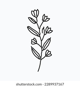 hand drawn simple flower outline illustration