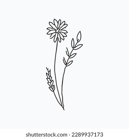 hand drawn simple flower outline illustration