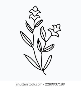 hand drawn simple flower outline illustration