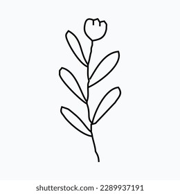 hand drawn simple flower outline illustration