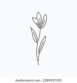 ilustración de esquema de flores simple dibujada a mano