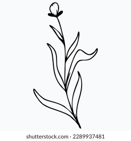 ilustración de esquema de flores simple dibujada a mano