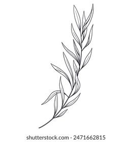 Hand drawn simple flower outline on white.