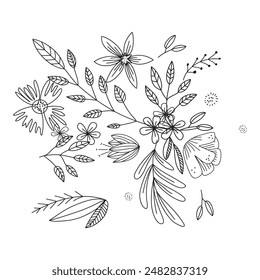 Dibujado a mano simple ilustración de contorno de flores.