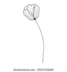 Dibujado a mano simple ilustración de contorno de flores.