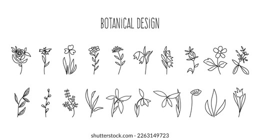 Flores simples dibujadas a mano hechas en vector. Diferentes tipos de plantas forestales y praderas para el diseño de líneas. 