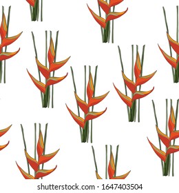 hand drawn simple heliconis tropical plant seamless pattern on white background