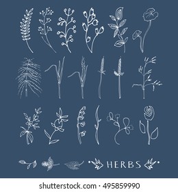 Hand drawn simple herbs set made in vector.Different types of forest and meadow plants for the logo, label or branding design. 