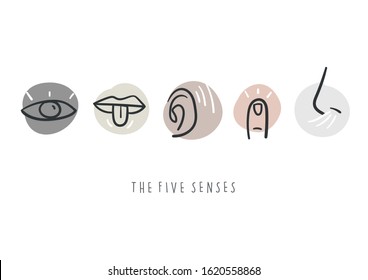 Hand drawn simple icons representing the five senses. Hand drawn doodles.