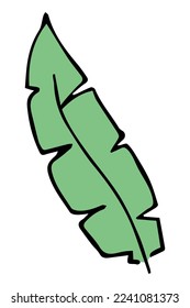 Hoja simple dibujada a mano. Clíparte del doodle ecológico. Ilustración botánica