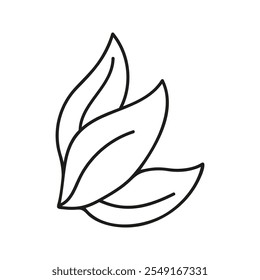 Hojas simples dibujadas a mano, follaje de hierbas. Clipart de doodle lineal