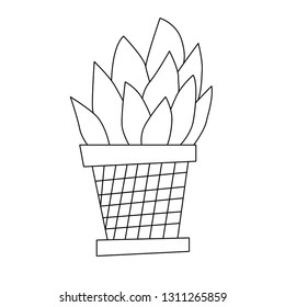 Hand drawn simple outline illustration. Collection with house plants. Hand drawn doodle. Coloring book. For children. Cartoon style. Ink sketch. Isolated objects. Home flower