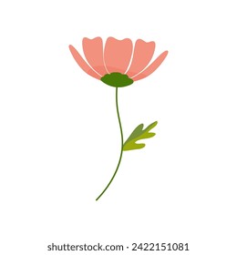 Hand drawn simple red poppy flower, a spring summer plant on a white isolated background