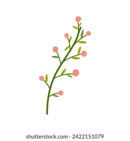 Hand drawn simple vector with berries, spring summer plant on white isolated background