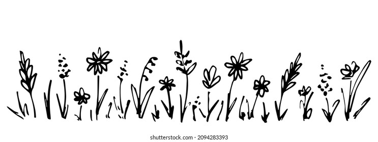 Dibujo manual simple del vector en contorno negro. Granos de prado silvestre, flores, espigas, camomila, inflorescencias. El césped florido, las plantas, el paisaje y la naturaleza. Esbozo de tinta.