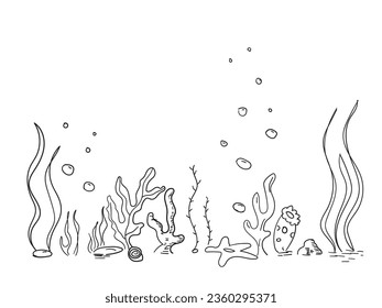 Hand drawn simple vector drawing outline. Underwater world, seaweed, aquarium