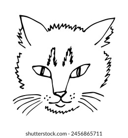 Dibujo de Vector simple dibujado a mano con contorno negro. Cara de gato divertida y peluda. Mascota, animal. Esbozo con tinta.