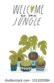 Hand drawn simple vector illustration with green home plant collection. House gardening poster or print concept. Urban jungle theme card design. Stylish cozy journal graphic design with lettering