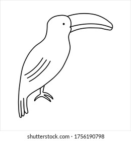 Hand drawn simple vector illustration Toucan, African wild bird, black and white drawing