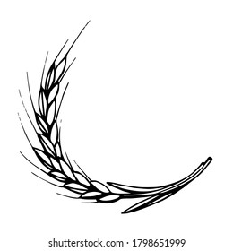 Hand drawn simple vector illustration in black outline. Wheat ears isolated on white background, cereals, organic plant cultivation, agricultural seasonal harvest. Food, bread, flour. For label, shop.