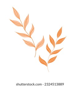 Hand drawn simple vector illustration of tropical flower. Doodle style tropical plant