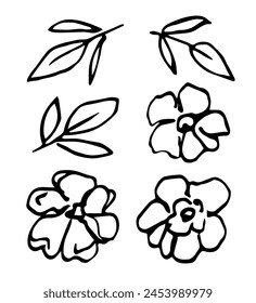 Hand drawn simple vector illustration with black outline. Set of plant, floral elements, garden flowers, leaves, summer nature. Sketch in ink.